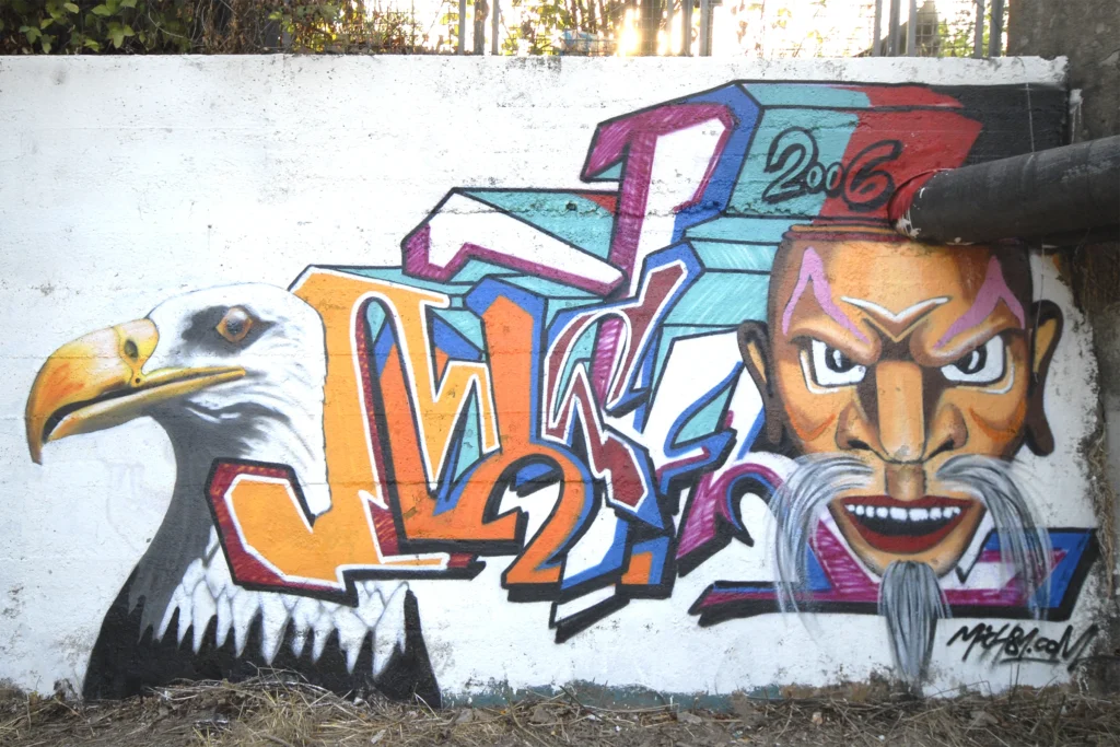 Graffiti con lettering arancione e ritratti realistici di aquila e volto maschile, Tradate 2006.